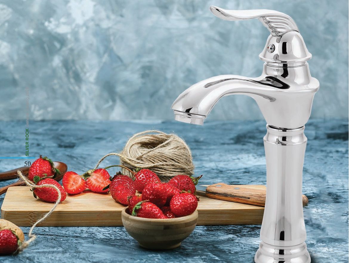 Faucets & Kitchen Appliances catalog cover